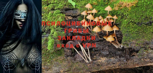 марихуана Новодвинск