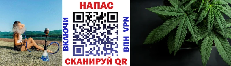 Конопля SATIVA & INDICA  Сальск 